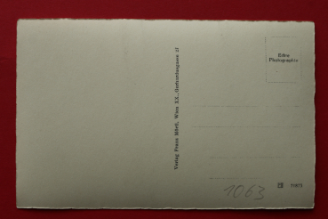 Postcard PC Langenlois / 1930-1950
